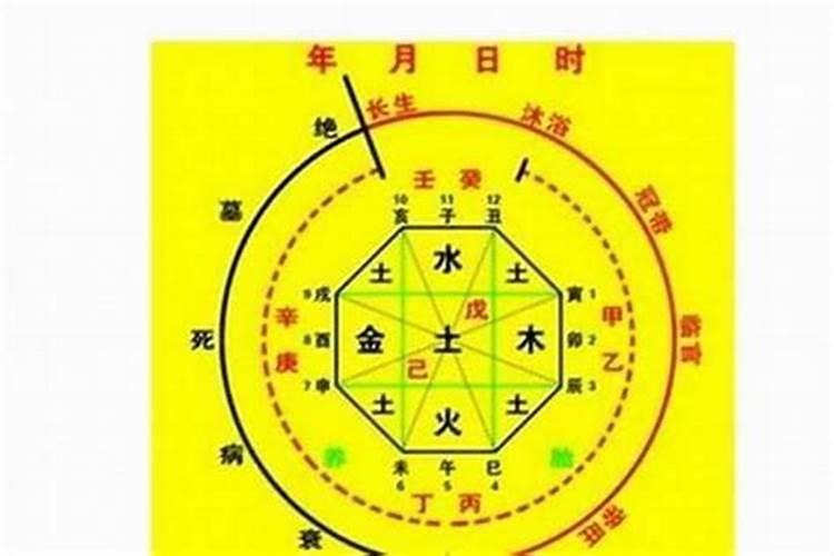 八字算命:十神中食神是什么意思