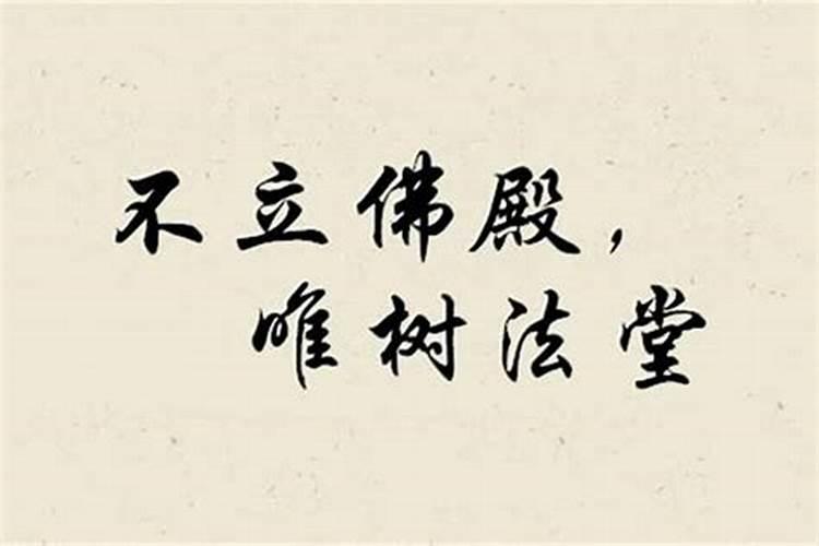 梦见陌生的老太太的预兆
