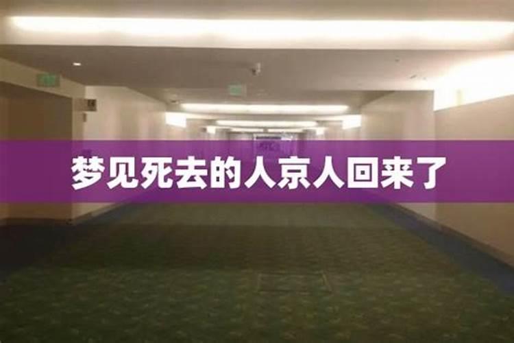 鼠年犯太岁的属相 属鼠犯太岁化解方法