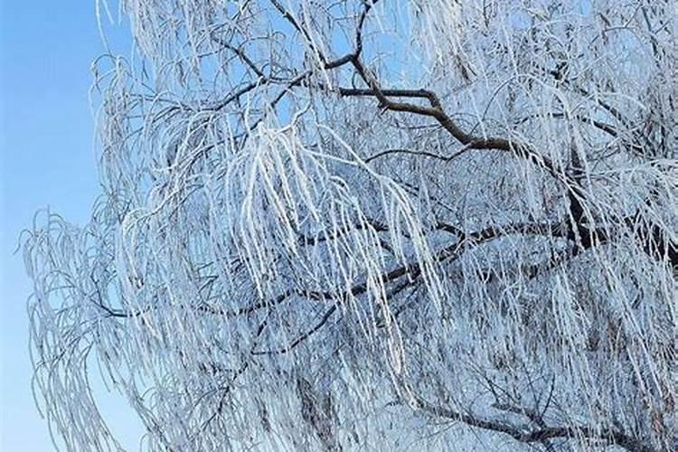 中秋节过后还有什么节假日？