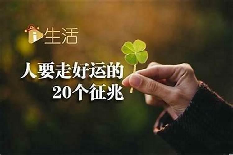 2023年夏至什么时候,今年夏至是几点钟