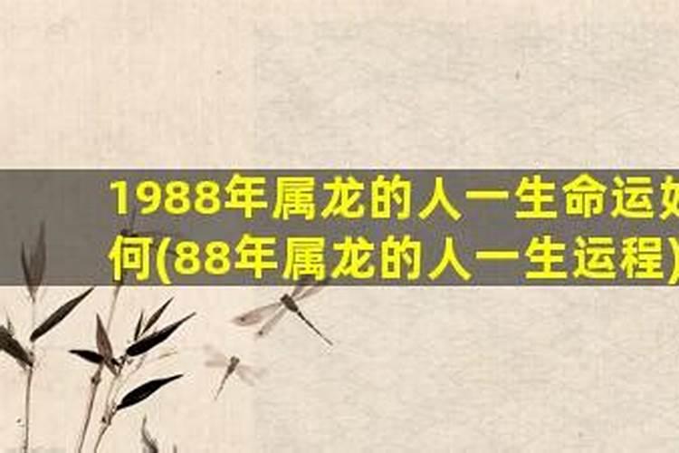 1988年属龙一生大劫 不顺年龄是什么时候？