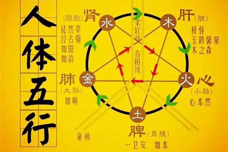 八字水太旺容易得什么病