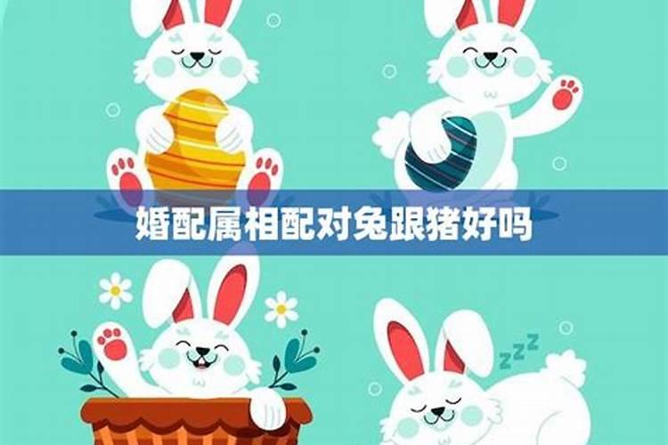 挂在墙上的布窗怎么消毒？