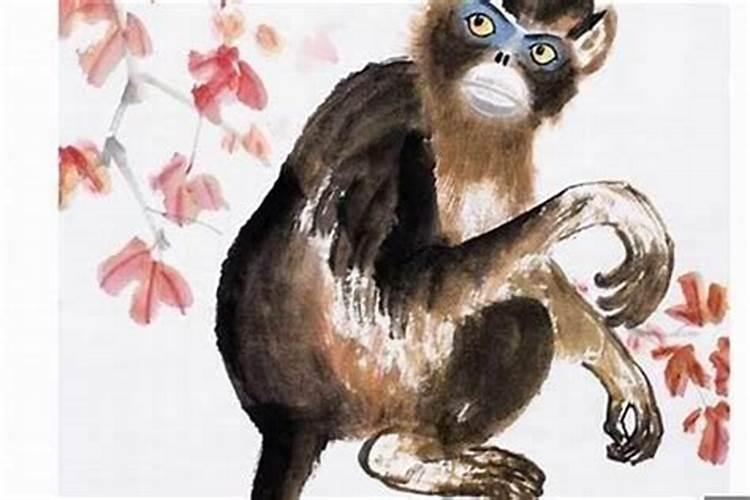 56年的猴是什么命