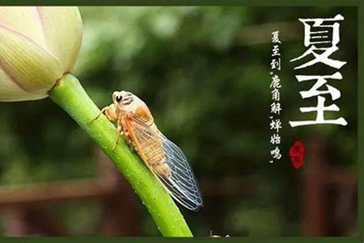 命理中什么叫禄、刃。