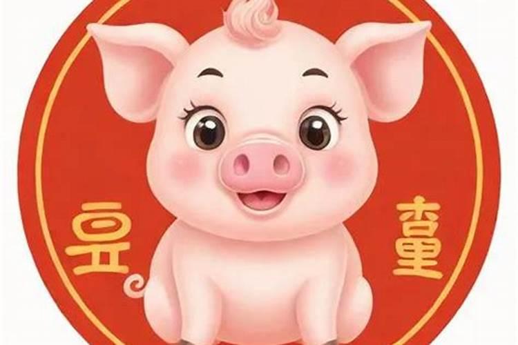 71年猪啥时候会发横财