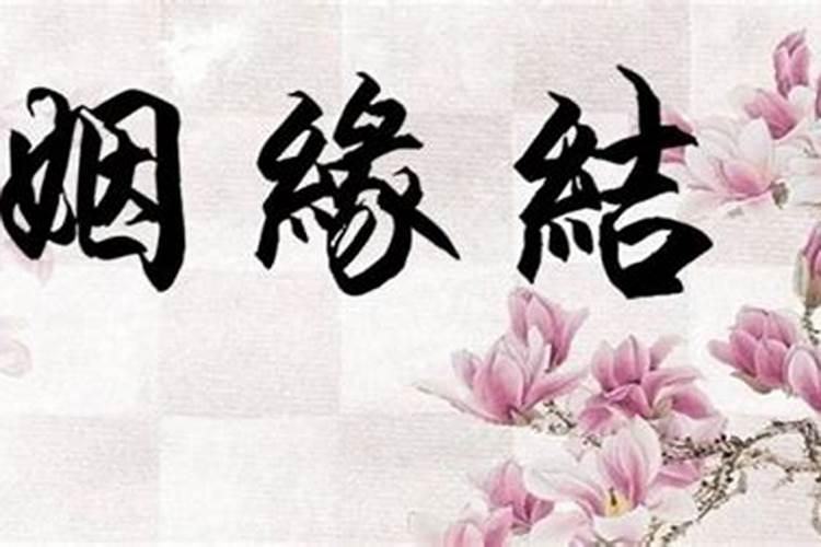 老公爱你如命的八字什么八字婚后很得宠