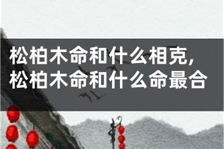 平地木遇松柏木命运势好不好？
