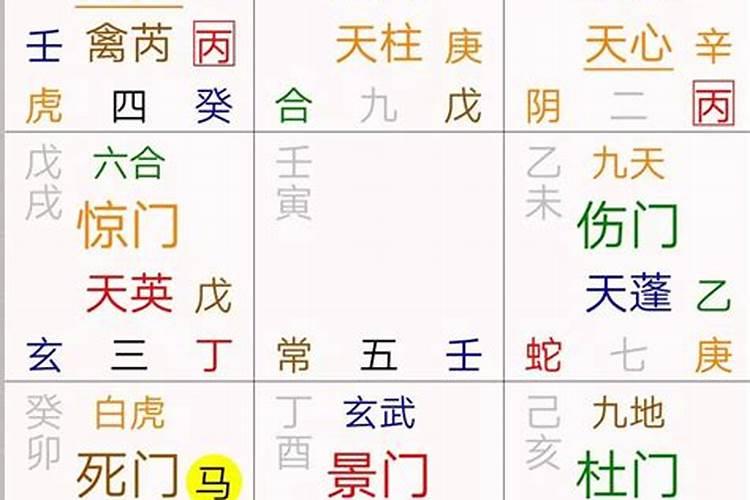 运势预测大师解析地支五行“卯”木类象(算卦)