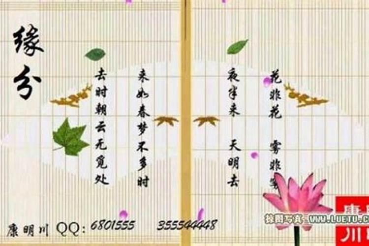 女人梦见各种各样的蛇预示着什么
