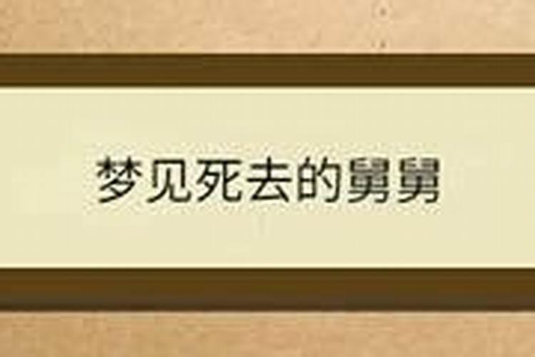 梦见我死去的舅舅跟我说话的预兆