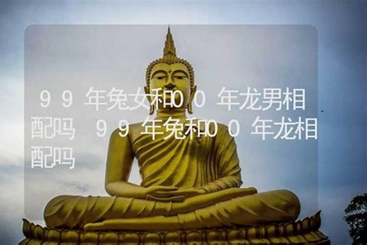 属兔男人和属龙女人相配吗