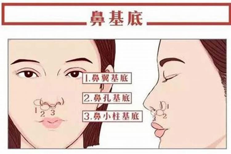 放生啥能生儿子