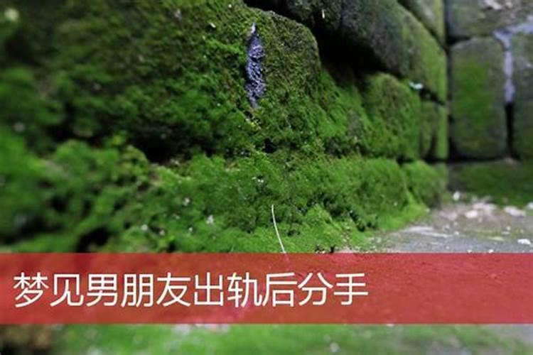 属羊的命运 属羊的人终身运程