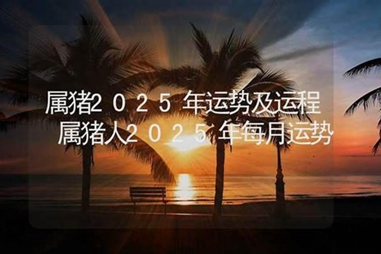 2025年属猪的人的全年运势