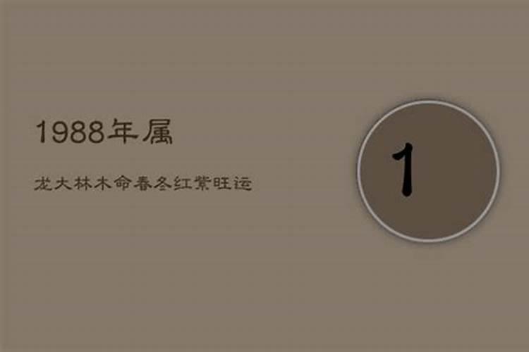 88年大林木命属龙缺什么