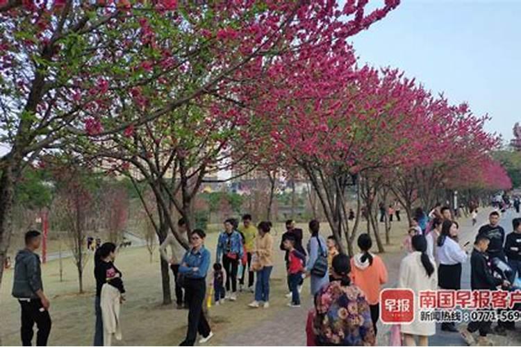 婚姻不好离婚能化解吗