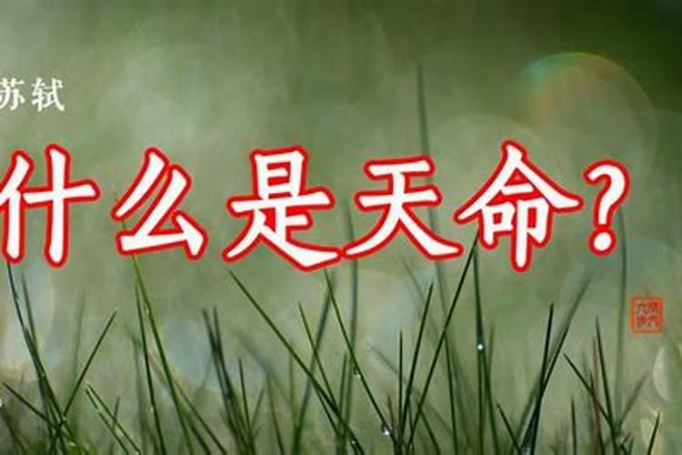 82年的狗未来五年的运势