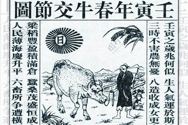 十二生肖运势2022年运程,宋韶光2022年12生肖运势