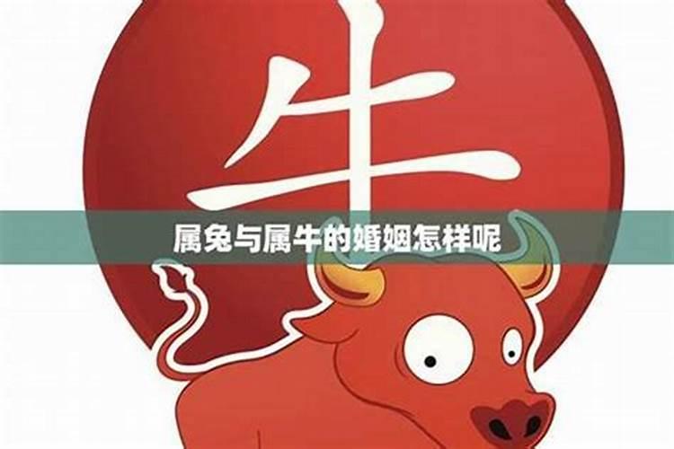 正月初五上坟的禁忌