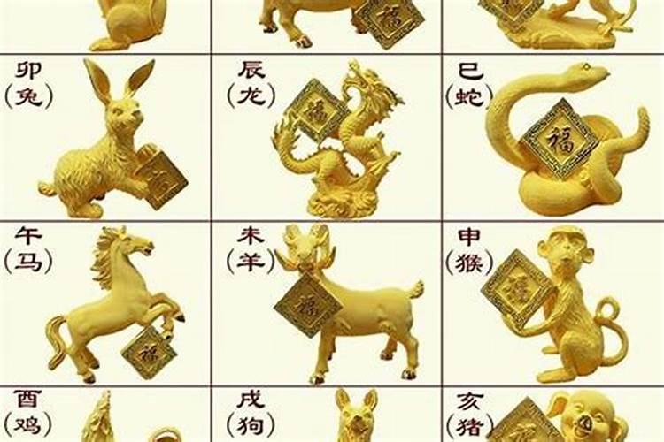 生肖鼠1996年2025年运势如何 生肖鼠1996年2025年全年运势
