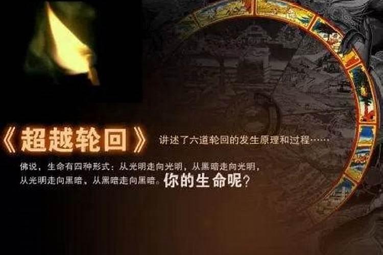 去普陀山的最佳时间