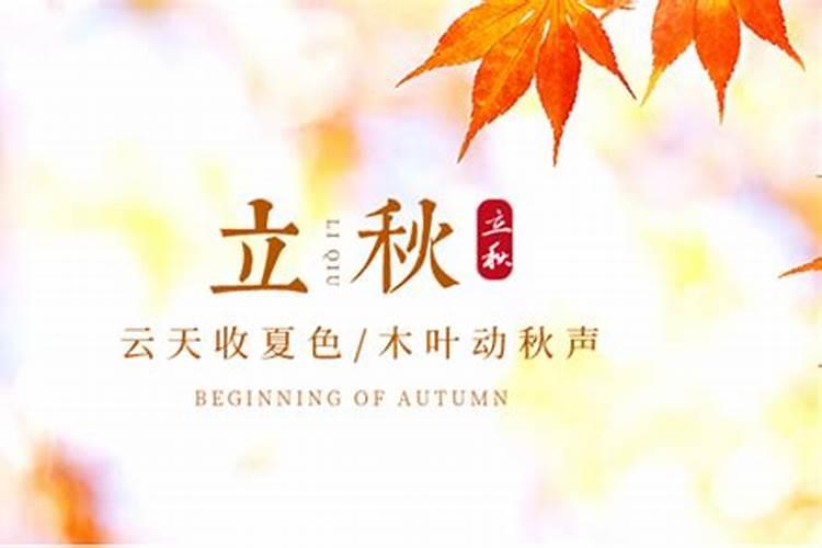 12属相最佳婚配表,是什么呢？