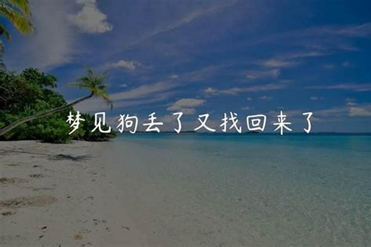梦到狗丢了又找回来了是什么意思？