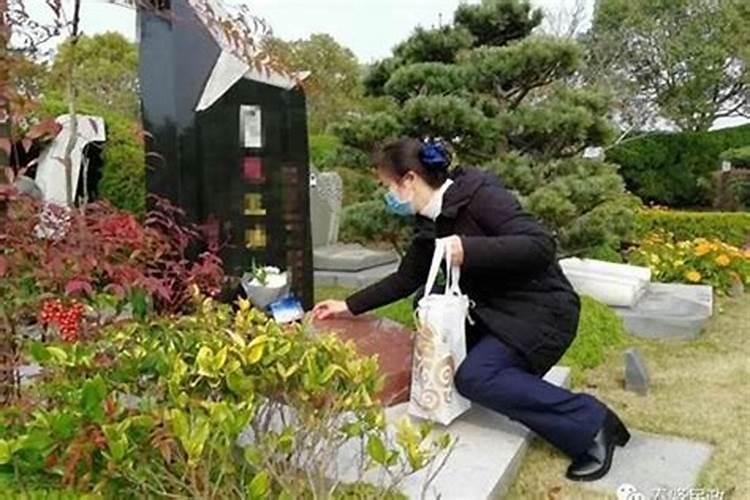 龙和猪适合做夫妻吗