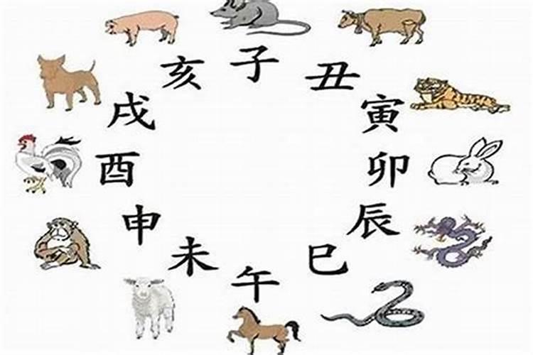 属牛和属兔的婚姻如何能走到最后吗