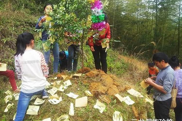 属虎女最合适的婚配属相,属虎女孩最佳配偶属相