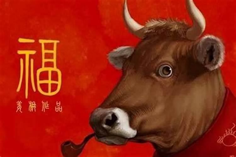 属牛的几月出生最好属牛人一生运势