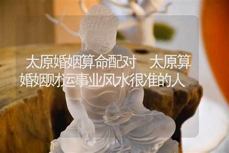 白鹤童子最忌三种属相