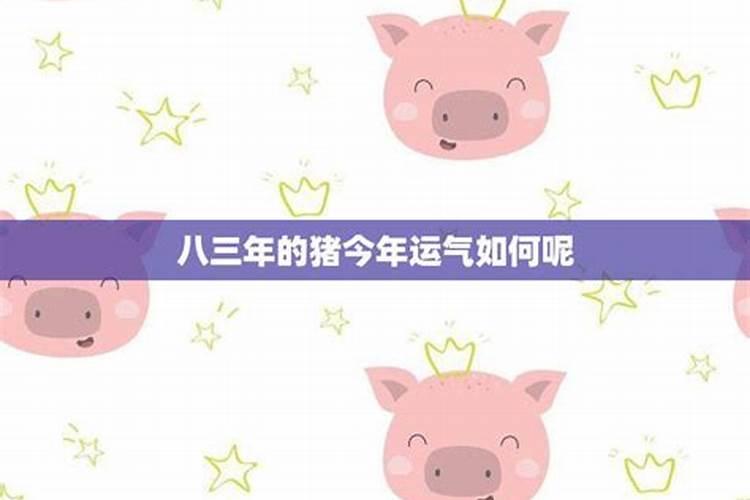 不同年份出生的属猪男女2024年运程