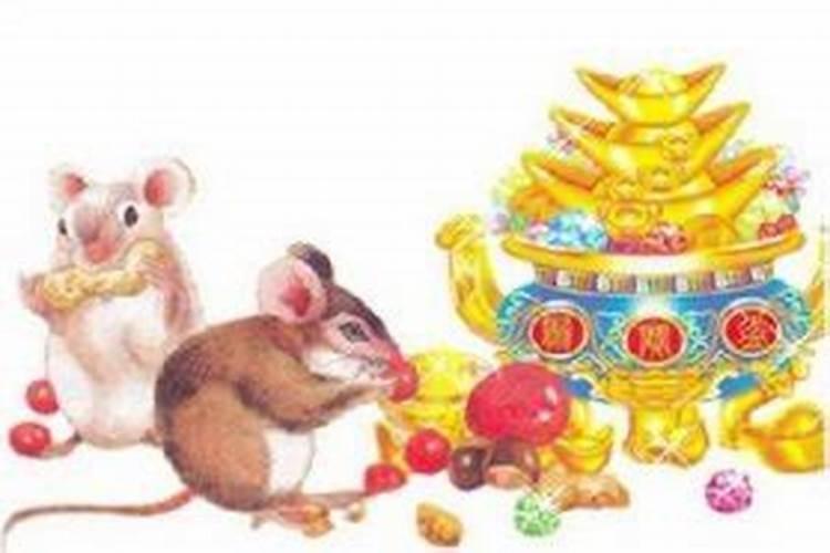 84年的鼠2025年的运势及运程