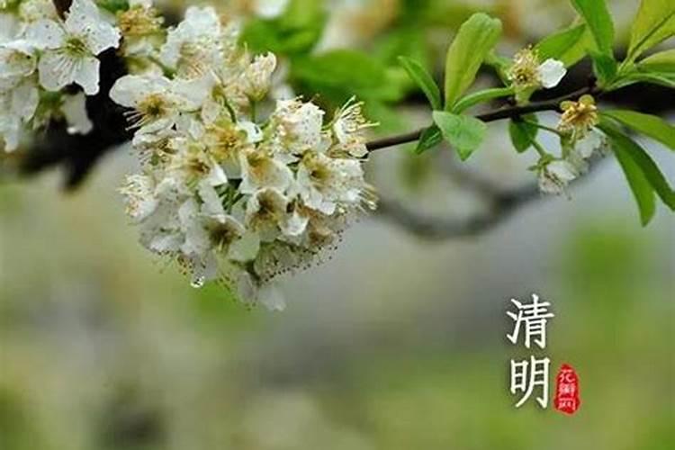 清明烧纸时间上有什么讲究