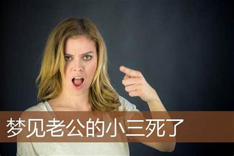 属马和属猪的适合做夫妻吗
