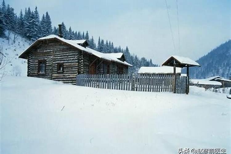 什么是腊月雪水