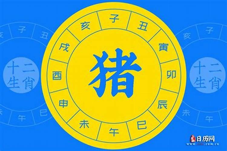 95年属猪女2024年每月运势