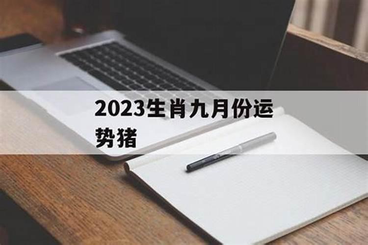 1995年属猪的2024年运势运程每月运程