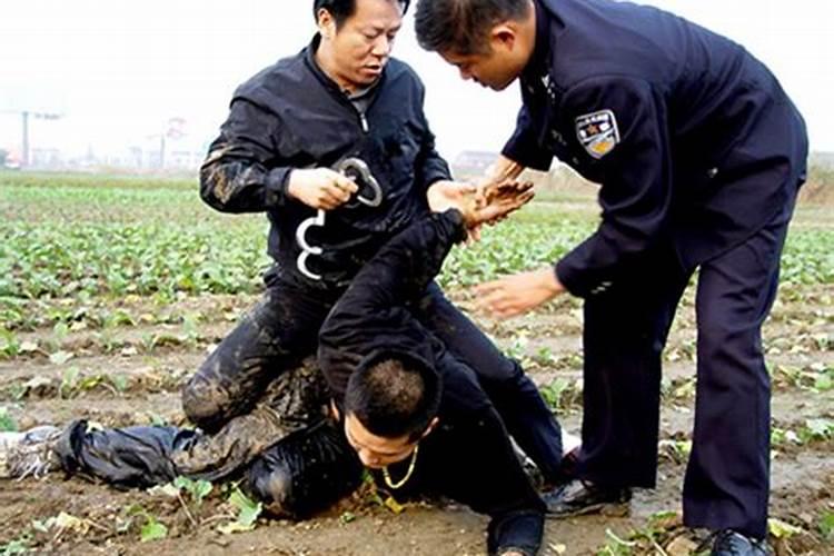 我昨晚梦见警察枪闭犯人,请问有什么预意