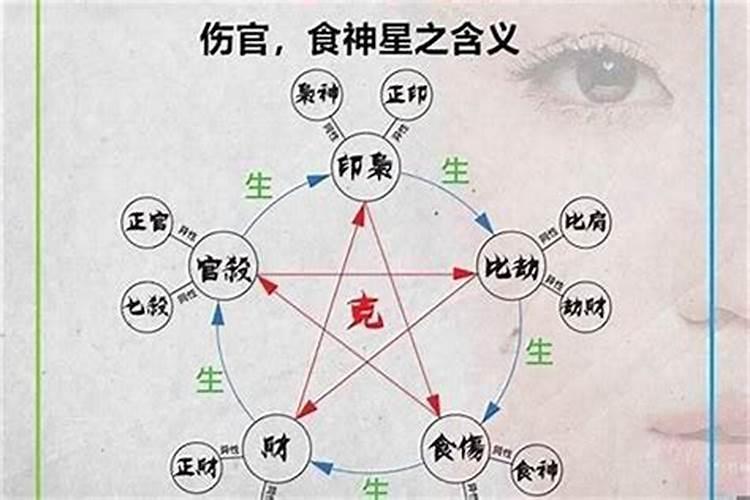 枭、官、杀、才、财、伤、食 :什么意思？