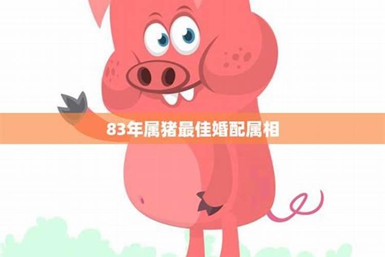 属猪的和什么属相最配
