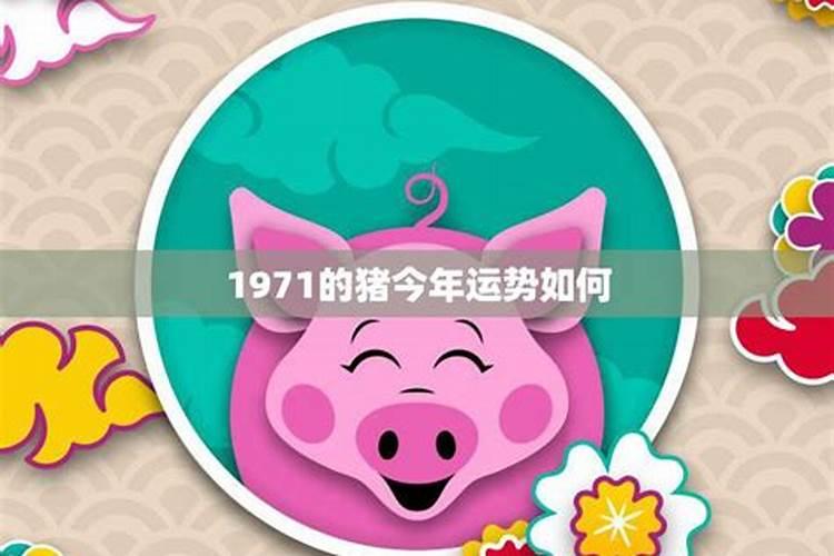 1971年的猪2025年运势如何？