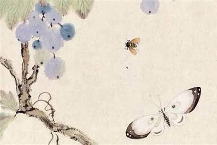 丁丑日柱男命运详解 丁丑日柱男命精论
