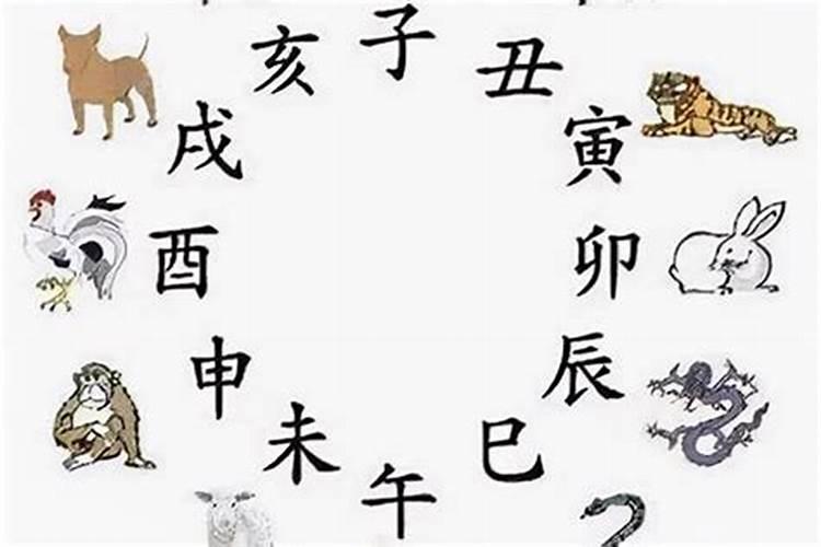 重阳节风俗有哪些