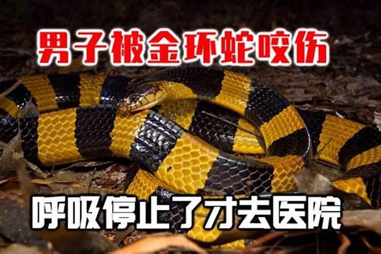 文昌塔开光要多少钱
