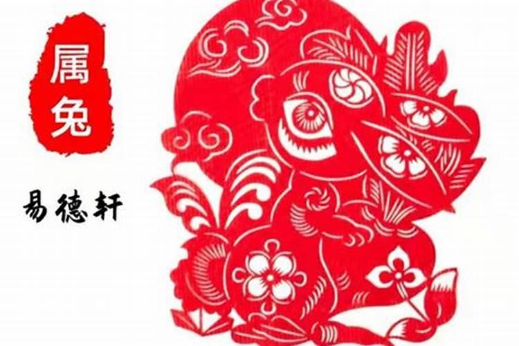 属兔的今天打麻将财运 属兔的今天运势和运程？