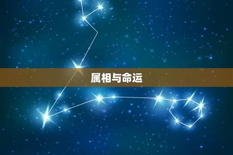 合婚生肖重要还是八字重 需要更看重哪个？